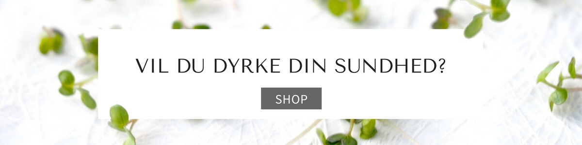Vil du dyrke din sundhed FRISKE SPIRER